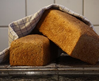 Skoldet Fuldkornsspeltbrød