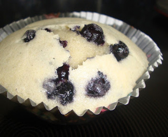 Blåbær muffins