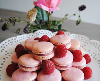 Mission not that impossible-macarons
