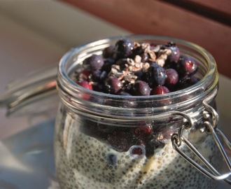 RAW Coconut Blueberry Chia Pudding