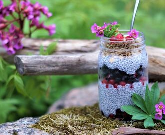 Chia pudding