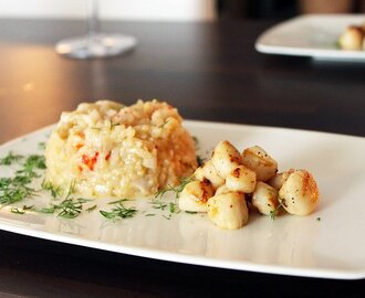 Kuharisotto ja kampasimpukat | Pikeperch risotto with scallops