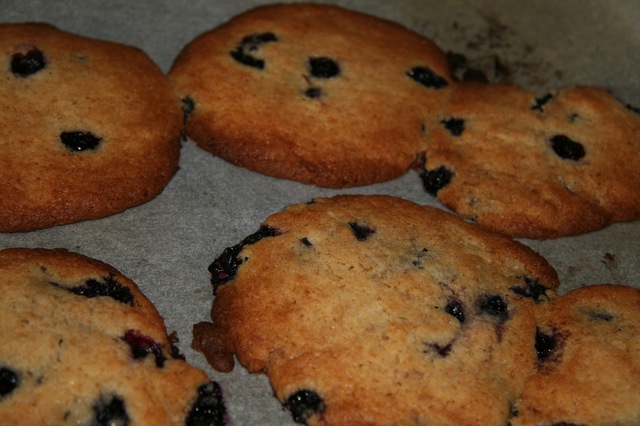Mustikka cookiet