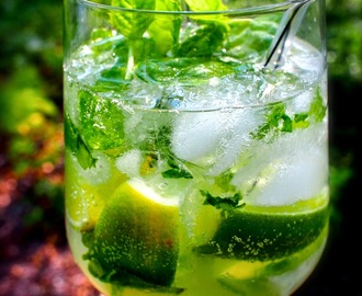 Perfect Mojito