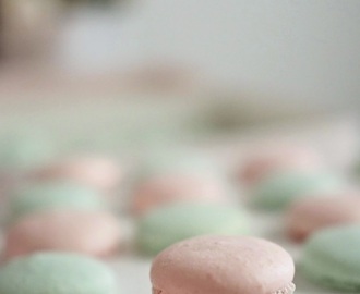 Macarons -leivokset kesän juhliin pastellin väreissä