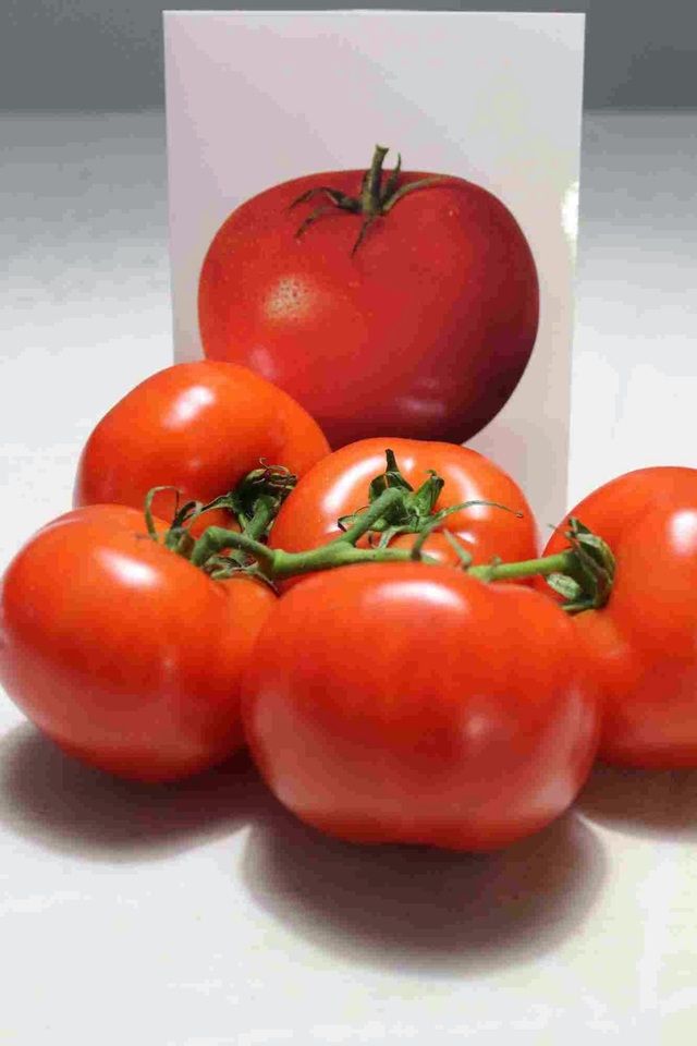 Tomaattipähkinä > pähkinällä täytetyt tomaatit