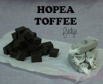 Hopeatoffee Fudge