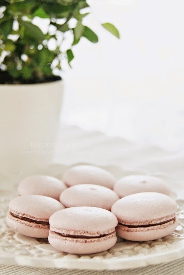 Macaron -leivokset