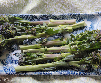 Broccoliini grillissä