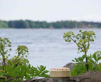 Helppo rahkajäädyke | An easy frozen quark dessert