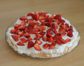 PAVLOVA