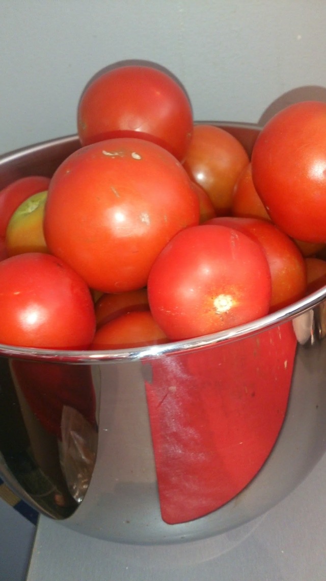 Pakastaja-Annin tomaattivinkki