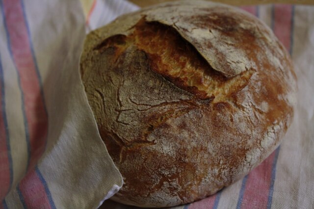 No-Knead Bread eli vaivaamatta valmis leipä