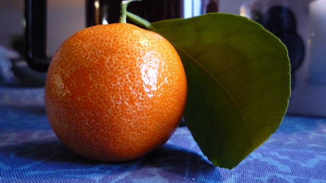 Appelsiinisalaatti x 2