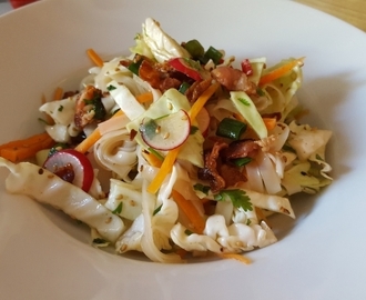Mausteinen kaali-nuudelisalaatti – spicy noodle salad with cabbage