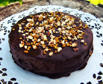 Raw Chocolate Cake with Rasberries