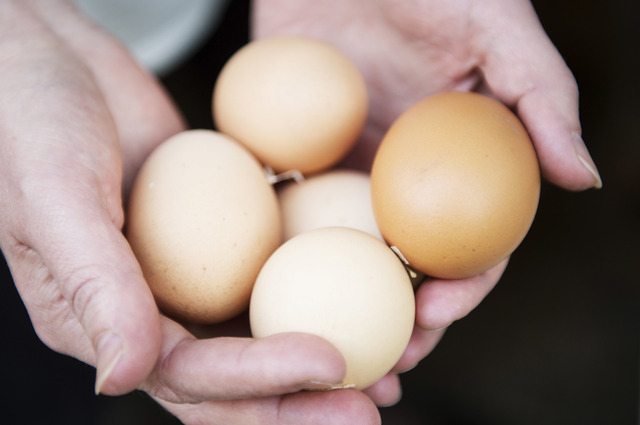 Lidl hyvästelee virikehäkkimunat – myynnissä vain luomu- ja vapaiden kanojen munia
