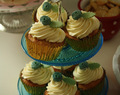 Blueberry cupcakes