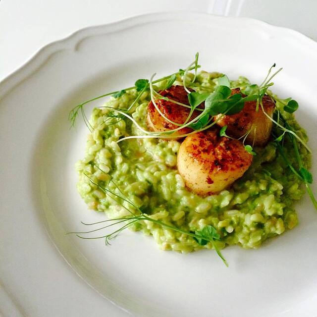 Kampasimpukat ja herkullinen hernerisotto - Scallops and yummy pea risotto