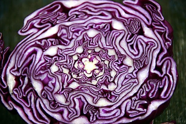 Coleslaw - tosimiesten värimaailmaan, Red Cabbage Coleslaw