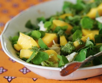 Mango mozzarella salad with wood sorrel pesto