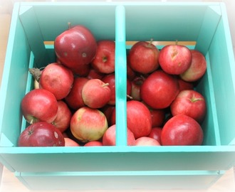 Omenavarkaissa - Apples