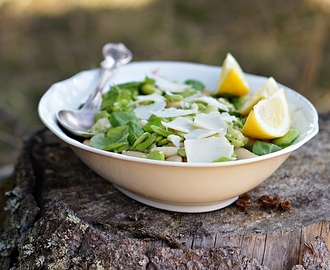 Pirteä papusalaatti / A zesty bean salad
