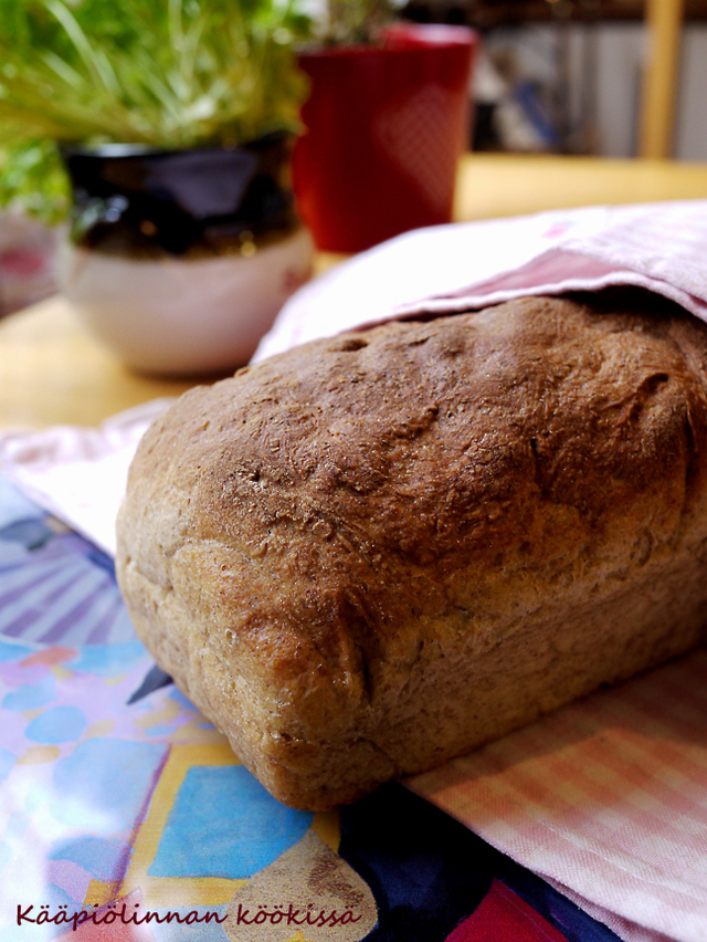 Bread on the table - helpot, maukkaat vuokaleivät