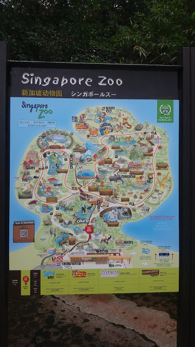 Singapore, Singapore Zoo 16.5.-23.5.2018 Osa 3