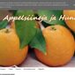 Appelsiinejahunajaa