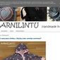 Aarnilintu