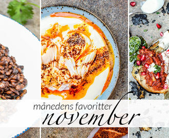 Månedens favoritter: November 2016