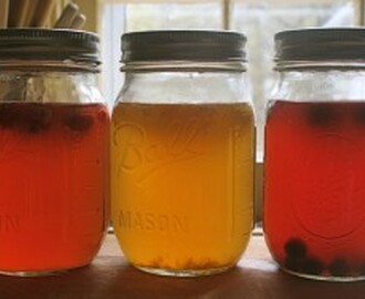 Kombucha (fermentert te)