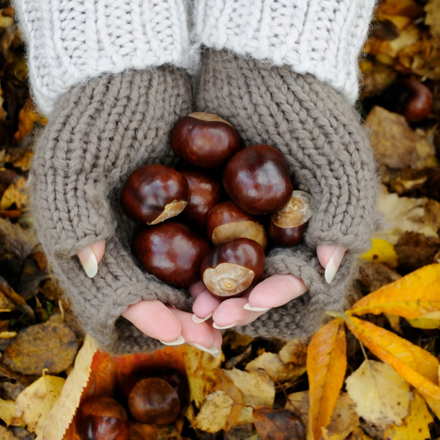 10 gode grunner til å like høsten!
