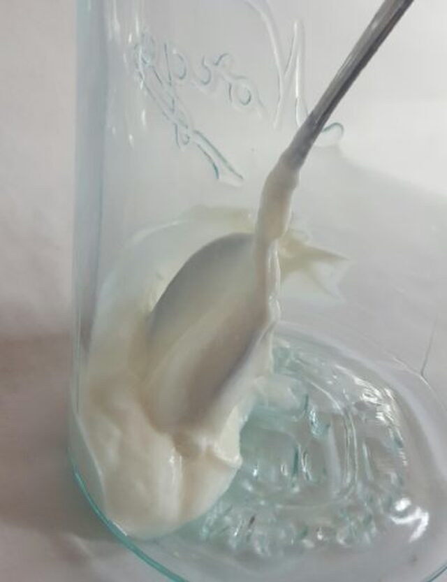 Å lage sin egen yoghurt