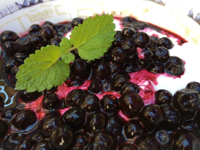 Sukkerfri blåbærdessert med fire ingredienser