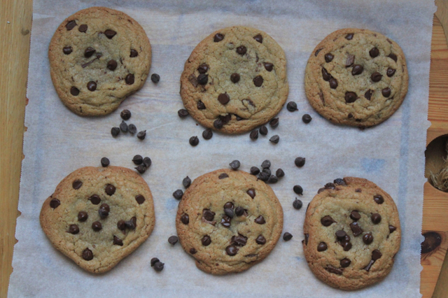 Chewy chocolate chip cookies