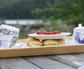 Sukkerfritt rørt bringebærsyltetøy og luftige scones (med Natreen)