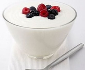 The History of Yogurt