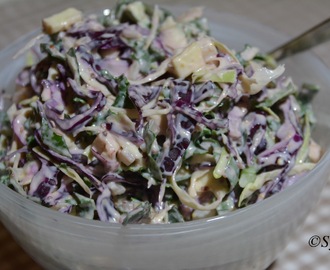 Coleslaw med fine farger