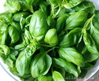 Pesto