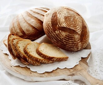 Bakerens Beste Brød - Brødet «alle» skulle ha - KK.no