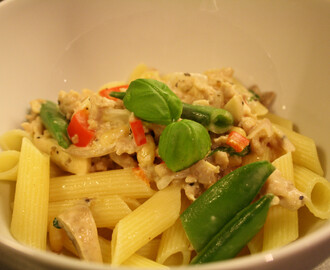 Enkelt og godt; Glutenfri pasta med kylling og ostesaus