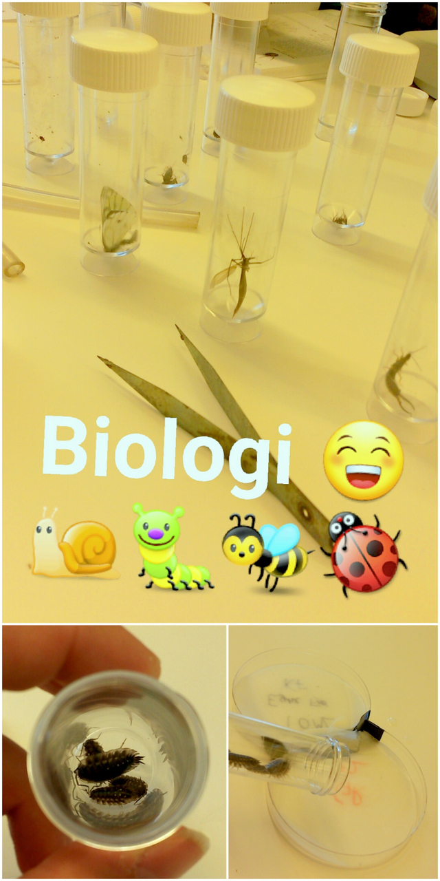 Biologi for første gang
