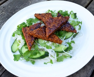 Kald nudelsalat med hoisin-glasert tempeh