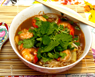 Vietnamesisk nudelsuppe