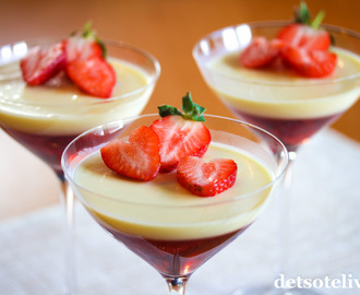 Panna cotta med gelé