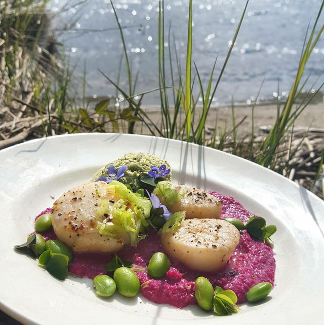 Kamskjell med ertepesto og rødbethumus