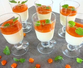 Panna cotta med multepuré  ♫?♫