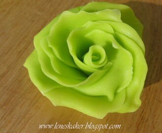 Rose i Lime